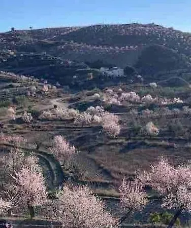 Cortijo Mariposa. Independent Two Bedroomed Holiday Feriehus *